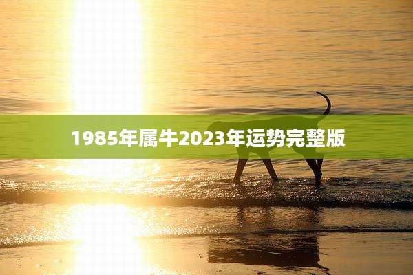 1985年属牛2023年运势完整版