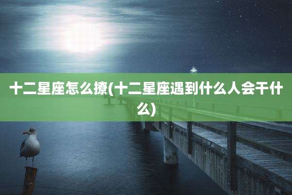 十二星座怎么撩(十二星座遇到什么人会干什么)