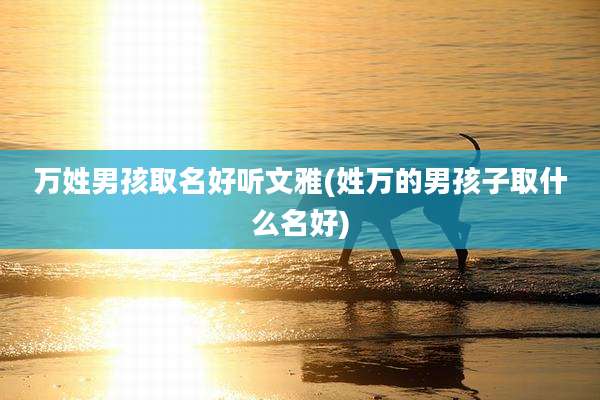万姓男孩取名好听文雅(姓万的男孩子取什么名好)