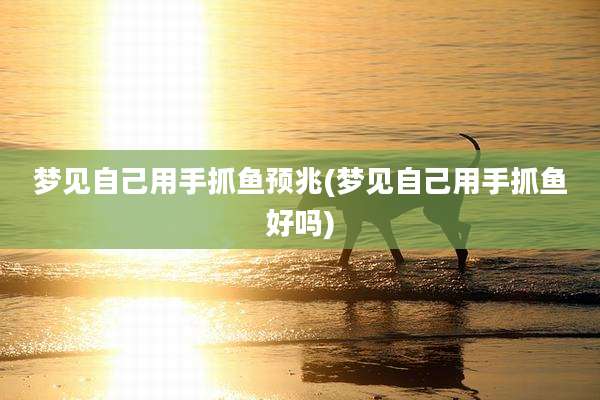 梦见自己用手抓鱼预兆(梦见自己用手抓鱼好吗)