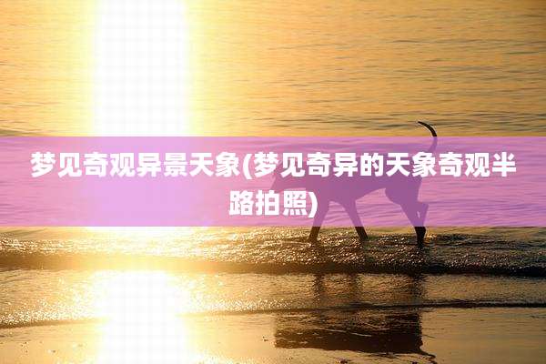 梦见奇观异景天象(梦见奇异的天象奇观半路拍照)