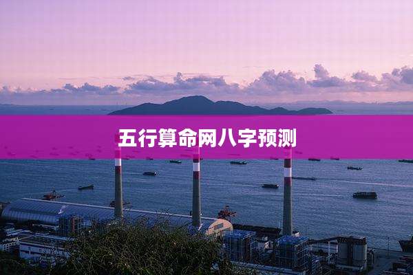 五行算命网八字预测