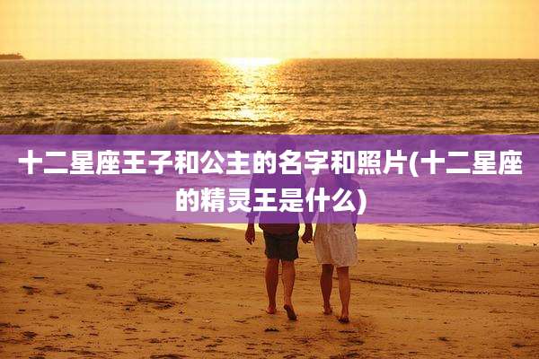 十二星座王子和公主的名字和照片(十二星座的精灵王是什么)