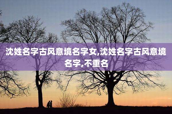 沈姓名字古风意境名字女,沈姓名字古风意境名字,不重名
