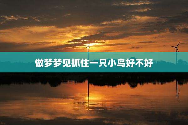 做梦梦见抓住一只小鸟好不好