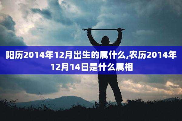 阳历2014年12月出生的属什么,农历2014年12月14日是什么属相