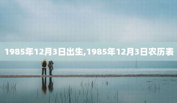 1985年12月3日出生,1985年12月3日农历表