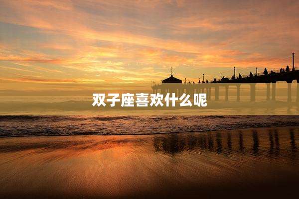 双子座喜欢什么呢