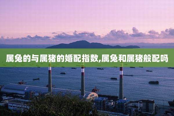 属兔的与属猪的婚配指数,属兔和属猪般配吗