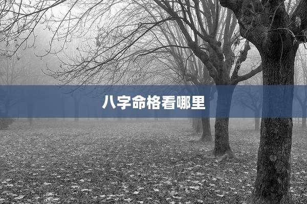 八字命格看哪里