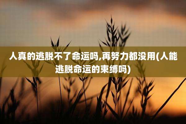 人真的逃脱不了命运吗,再努力都没用(人能逃脱命运的束缚吗)