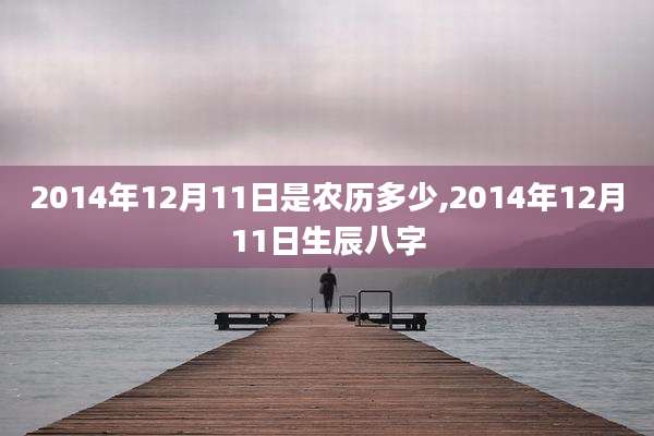 2014年12月11日是农历多少,2014年12月11日生辰八字