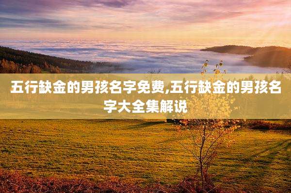 五行缺金的男孩名字免费,五行缺金的男孩名字大全集解说
