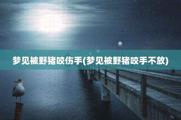 梦见被野猪咬伤手(梦见被野猪咬手不放)