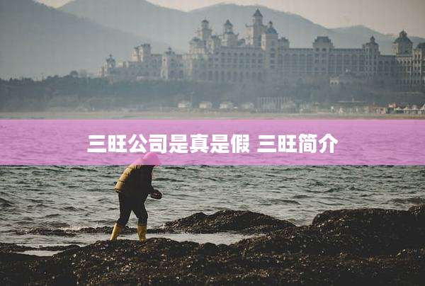 三旺公司是真是假 三旺简介