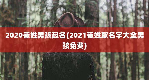 2020崔姓男孩起名(2021崔姓取名字大全男孩免费)