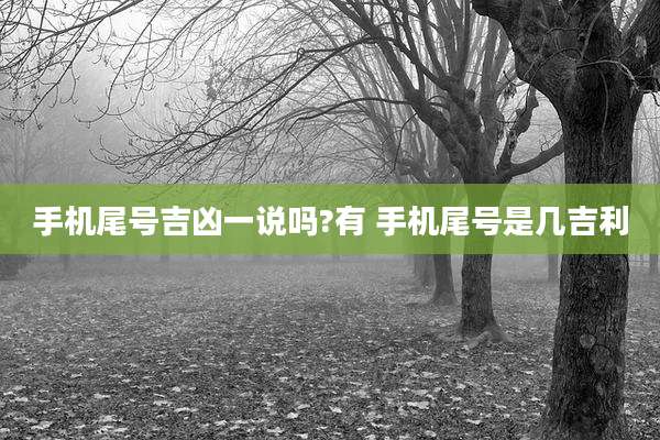 手机尾号吉凶一说吗?有 手机尾号是几吉利
