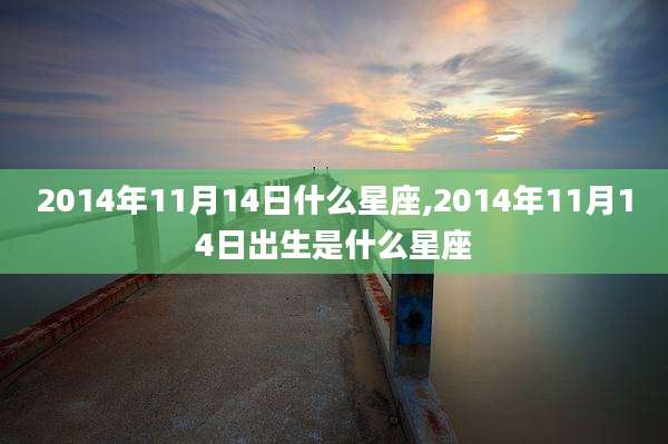 2014年11月14日什么星座,2014年11月14日出生是什么星座