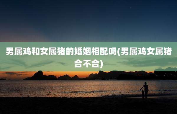 男属鸡和女属猪的婚姻相配吗(男属鸡女属猪合不合)