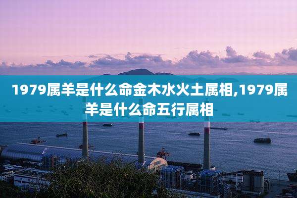 1979属羊是什么命金木水火土属相,1979属羊是什么命五行属相