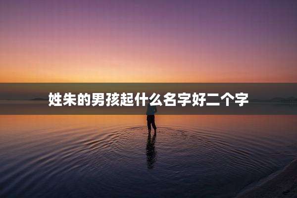 姓朱的男孩起什么名字好二个字