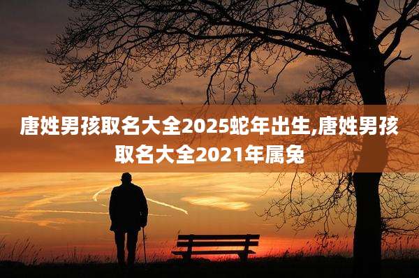 唐姓男孩取名大全2025蛇年出生,唐姓男孩取名大全2021年属兔