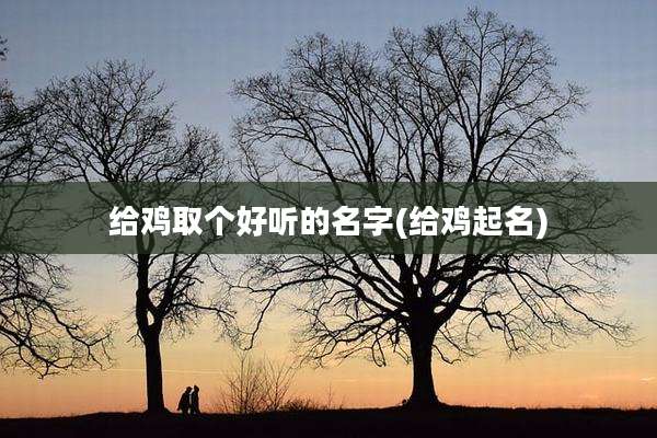 给鸡取个好听的名字(给鸡起名)