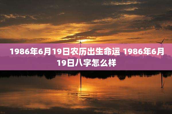 1986年6月19日农历出生命运 1986年6月19日八字怎么样