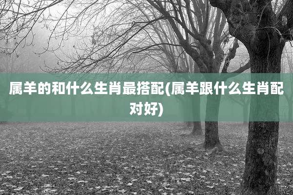 属羊的和什么生肖最搭配(属羊跟什么生肖配对好)