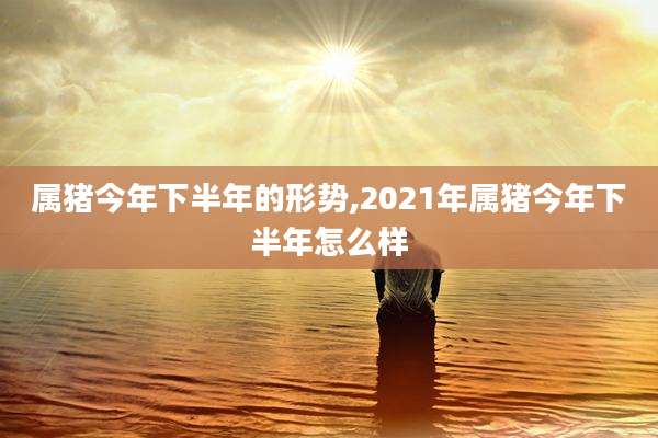 属猪今年下半年的形势,2021年属猪今年下半年怎么样