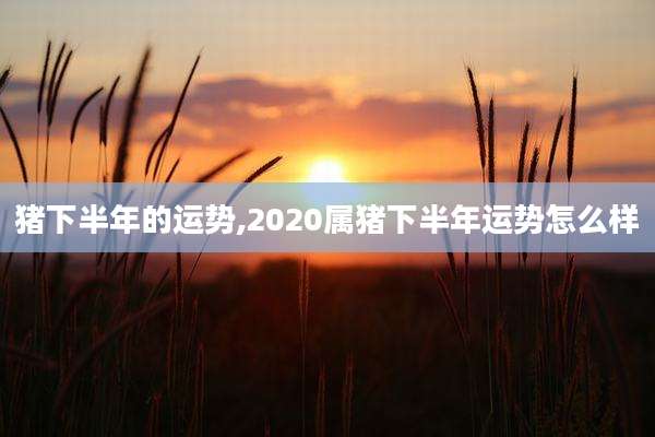 猪下半年的运势,2020属猪下半年运势怎么样
