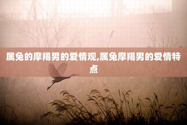 属兔的摩羯男的爱情观,属兔摩羯男的爱情特点