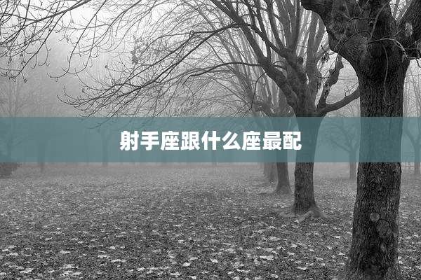 射手座跟什么座最配