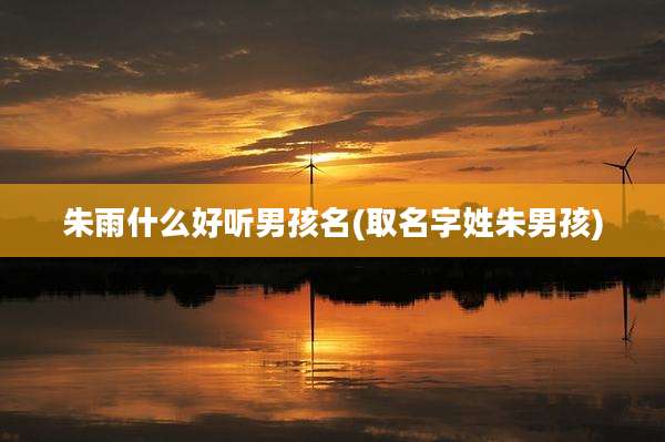 朱雨什么好听男孩名(取名字姓朱男孩)