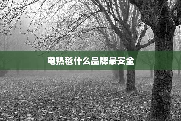 电热毯什么品牌最安全