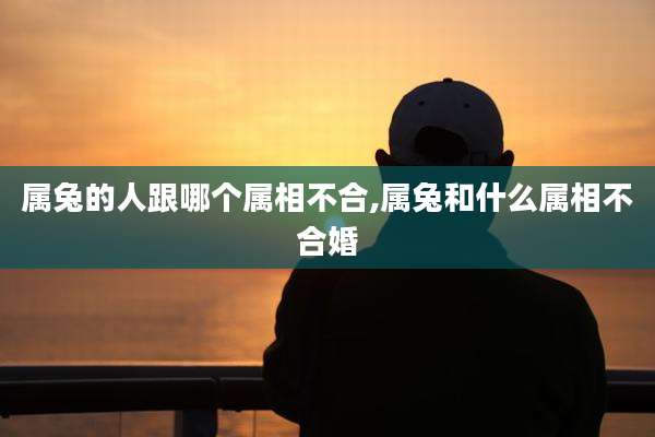 属兔的人跟哪个属相不合,属兔和什么属相不合婚