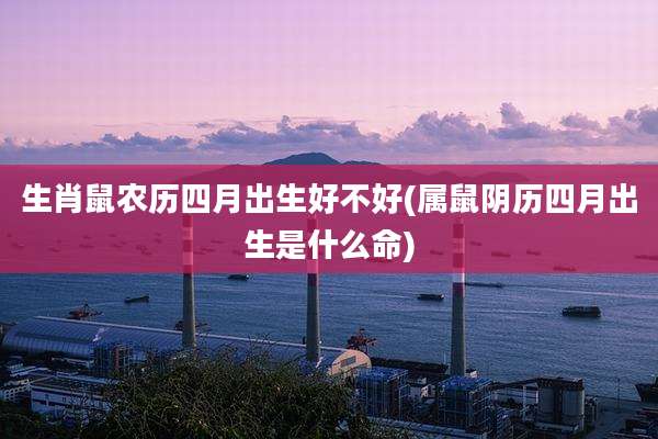 生肖鼠农历四月出生好不好(属鼠阴历四月出生是什么命)