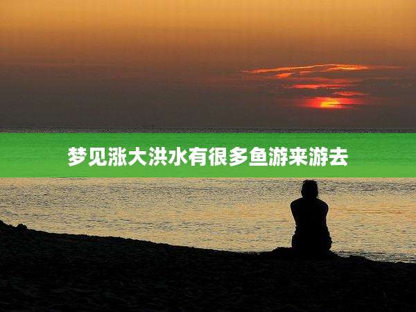 梦见涨大洪水有很多鱼游来游去