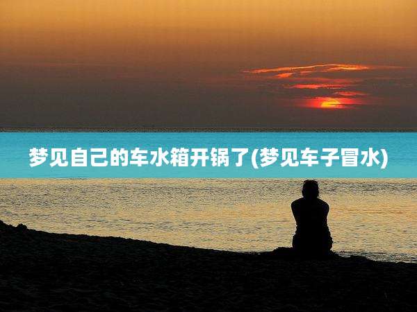 梦见自己的车水箱开锅了(梦见车子冒水)