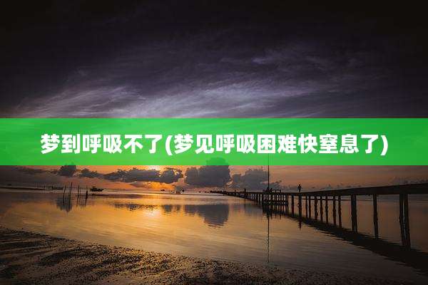 梦到呼吸不了(梦见呼吸困难快窒息了)