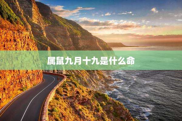 属鼠九月十九是什么命