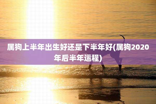 属狗上半年出生好还是下半年好(属狗2020年后半年运程)