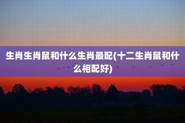 生肖生肖鼠和什么生肖最配(十二生肖鼠和什么相配好)