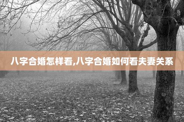 八字合婚怎样看,八字合婚如何看夫妻关系