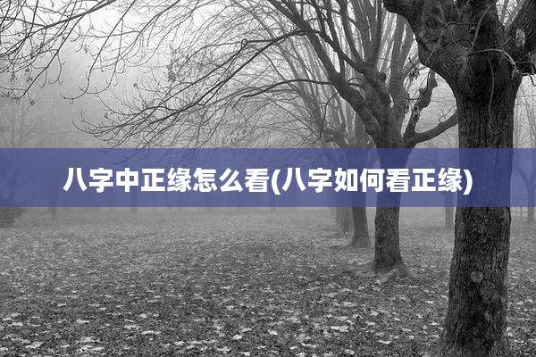 八字中正缘怎么看(八字如何看正缘)