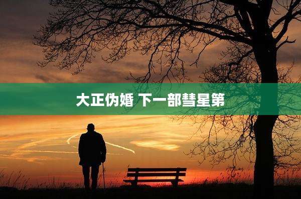 大正伪婚 下一部彗星第
