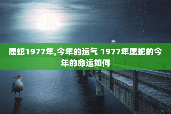 属蛇1977年,今年的运气 1977年属蛇的今年的命运如何