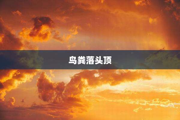 鸟粪落头顶