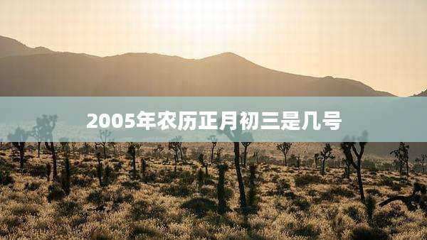 2005年农历正月初三是几号
