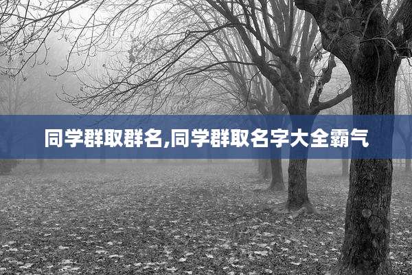 同学群取群名,同学群取名字大全霸气